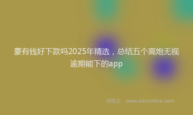 豪有钱好下款吗2025年精选，总结五个高炮无视逾期能下的app
