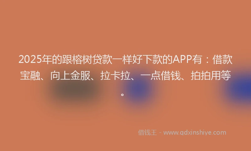 2025年的跟榕树贷款一样好下款的APP有：借款宝融、向上金服、拉卡拉、一点借钱、拍拍用等。