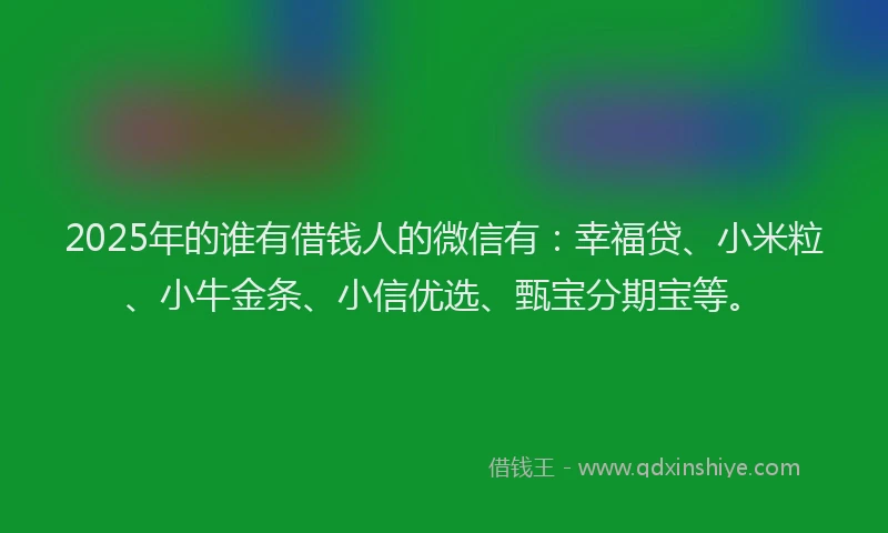 2025年的谁有借钱人的微信有：幸福贷、小米粒、小牛金条、小信优选、甄宝分期宝等。