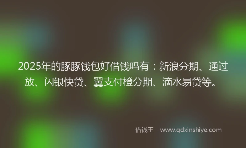 2025年的豚豚钱包好借钱吗有：新浪分期、通过放、闪银快贷、翼支付橙分期、滴水易贷等。