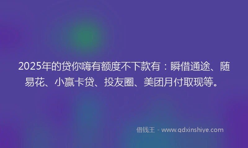 2025年的贷你嗨有额度不下款有：瞬借通途、随易花、小赢卡贷、投友圈、美团月付取现等。