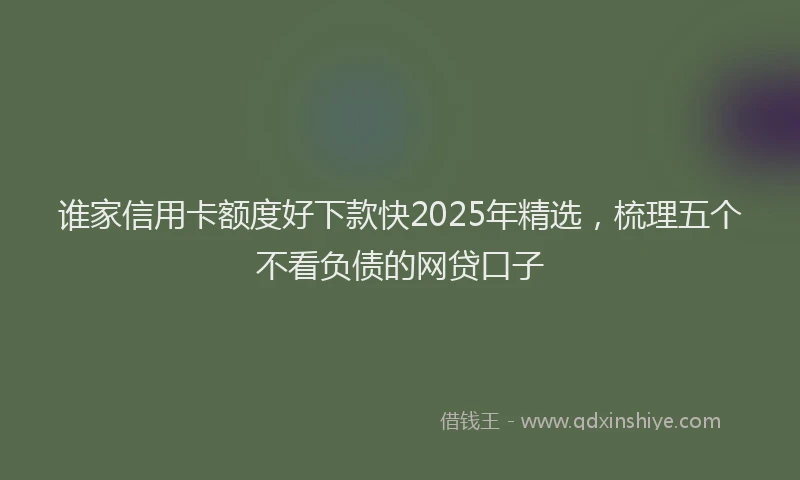 谁家信用卡额度好下款快2025年精选，梳理五个不看负债的网贷口子