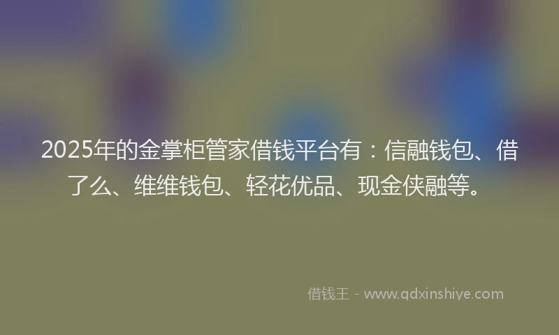 2025年的金掌柜管家借钱平台有：信融钱包、借了么、维维钱包、轻花优品、现金侠融等。