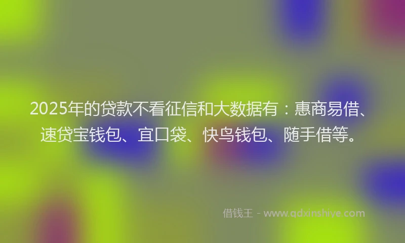 2025年的贷款不看征信和大数据有：惠商易借、速贷宝钱包、宜口袋、快鸟钱包、随手借等。