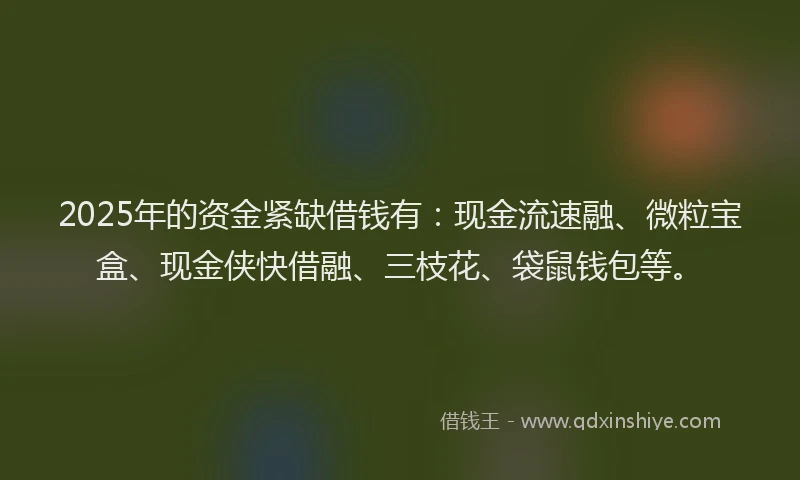 2025年的资金紧缺借钱有：现金流速融、微粒宝盒、现金侠快借融、三枝花、袋鼠钱包等。