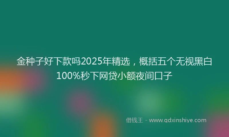 金种子好下款吗2025年精选，概括五个无视黑白100%秒下网贷小额夜间口子