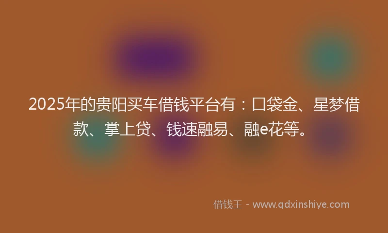 2025年的贵阳买车借钱平台有：口袋金、星梦借款、掌上贷、钱速融易、融e花等。