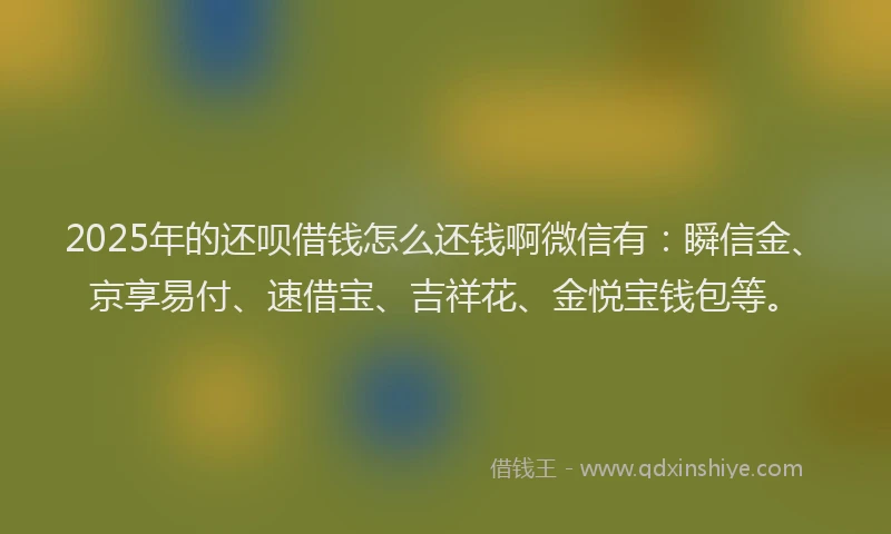 2025年的还呗借钱怎么还钱啊微信有：瞬信金、京享易付、速借宝、吉祥花、金悦宝钱包等。