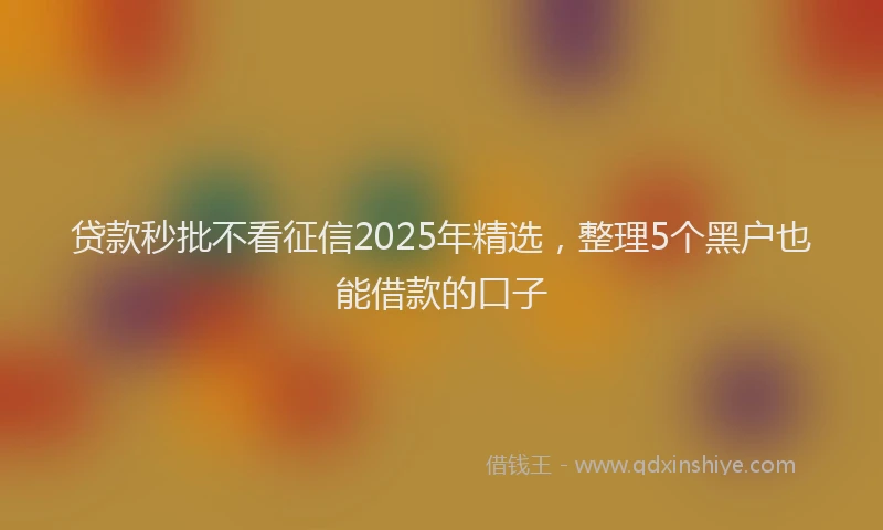 贷款秒批不看征信2025年精选，整理5个黑户也能借款的口子