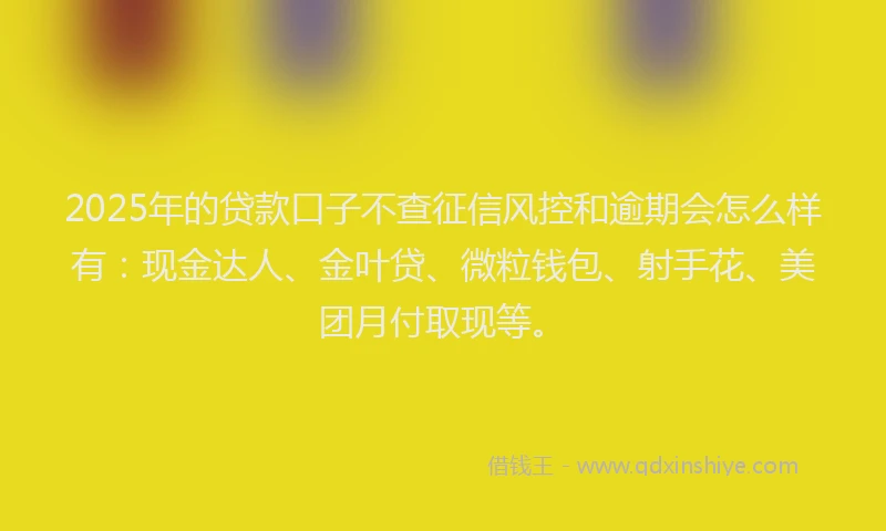 2025年的贷款口子不查征信风控和逾期会怎么样有：现金达人、金叶贷、微粒钱包、射手花、美团月付取现等。