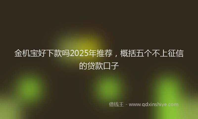 金机宝好下款吗2025年推荐，概括五个不上征信的贷款口子