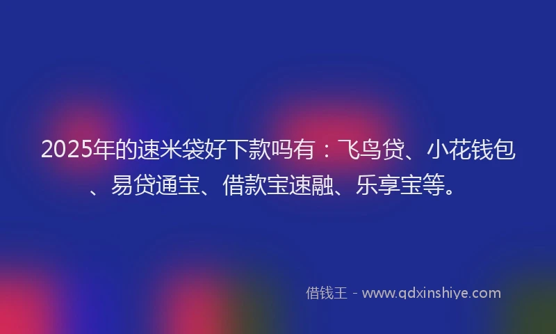 2025年的速米袋好下款吗有：飞鸟贷、小花钱包、易贷通宝、借款宝速融、乐享宝等。
