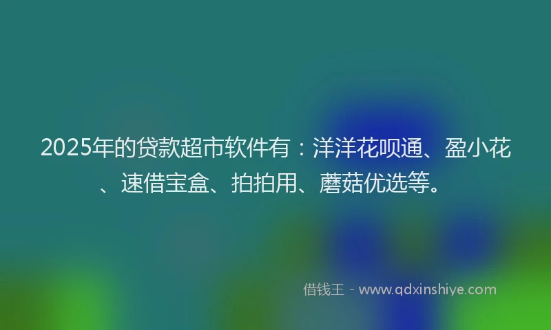 2025年的贷款超市软件有：洋洋花呗通、盈小花、速借宝盒、拍拍用、蘑菇优选等。