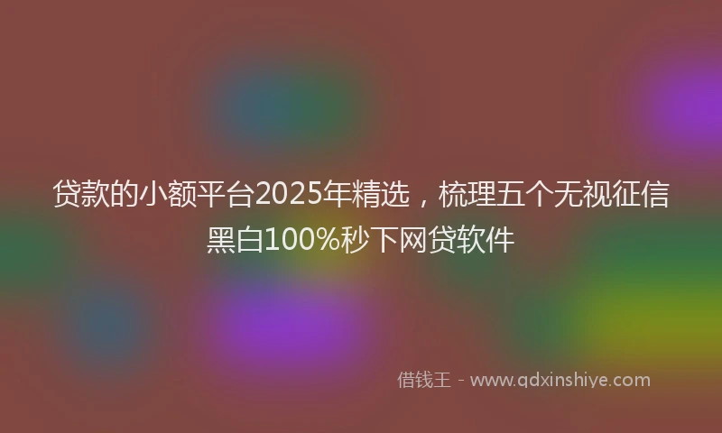 贷款的小额平台2025年精选，梳理五个无视征信黑白100%秒下网贷软件