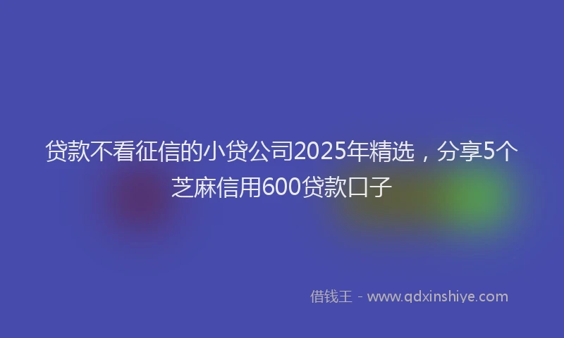 贷款不看征信的小贷公司2025年精选，分享5个芝麻信用600贷款口子