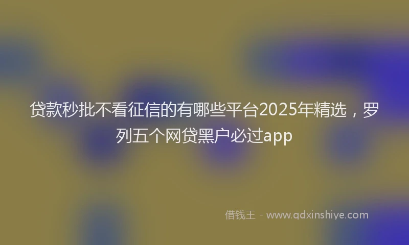 贷款秒批不看征信的有哪些平台2025年精选，罗列五个网贷黑户必过app