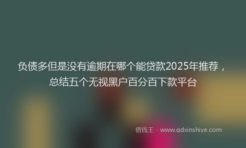 负债多但是没有逾期在哪个能贷款2025年推荐，总结五个无视黑户百分百下款平台