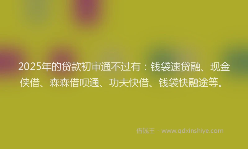 2025年的贷款初审通不过有：钱袋速贷融、现金侠借、森森借呗通、功夫快借、钱袋快融途等。