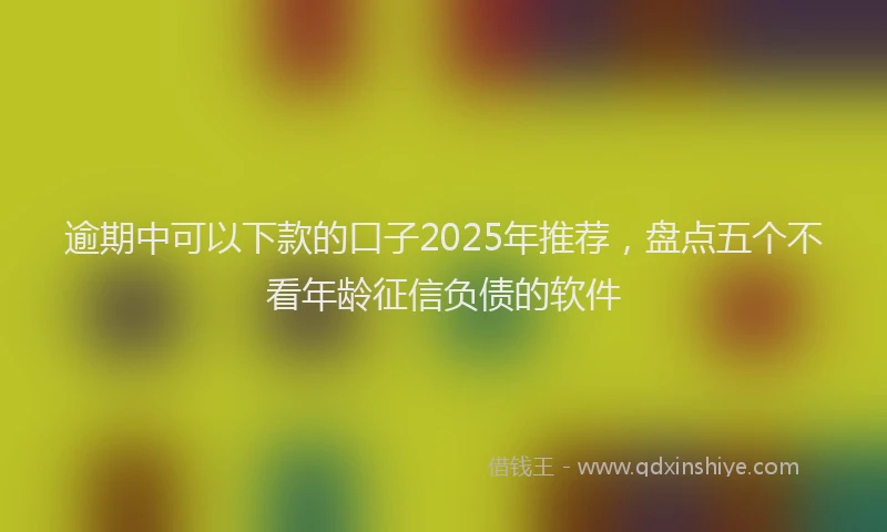 逾期中可以下款的口子2025年推荐，盘点五个不看年龄征信负债的软件