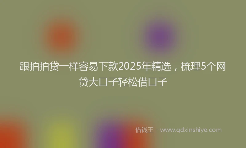 跟拍拍贷一样容易下款2025年精选，梳理5个网贷大口子轻松借口子
