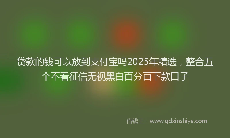 贷款的钱可以放到支付宝吗2025年精选，整合五个不看征信无视黑白百分百下款口子