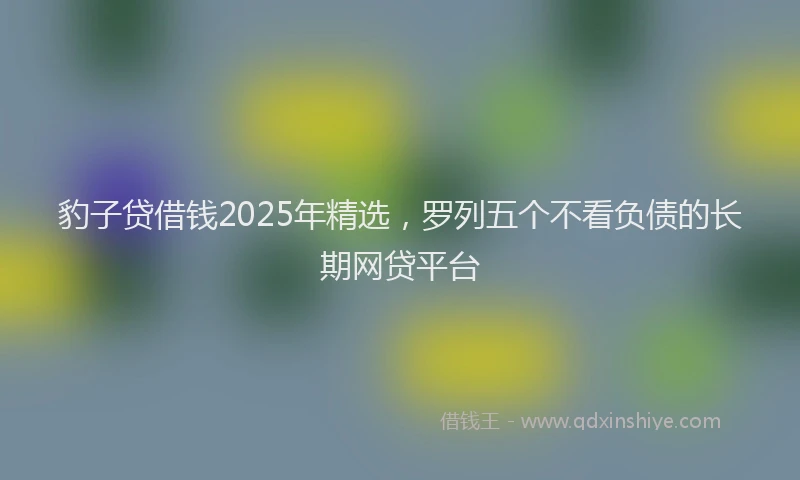 豹子贷借钱2025年精选，罗列五个不看负债的长期网贷平台