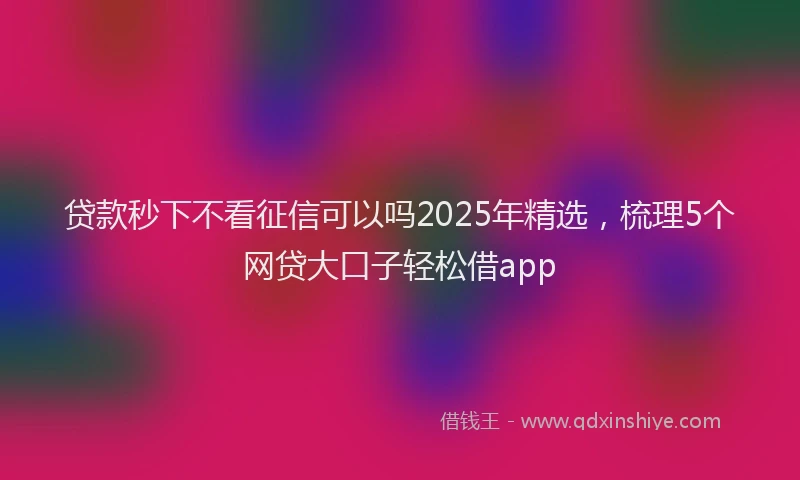 贷款秒下不看征信可以吗2025年精选，梳理5个网贷大口子轻松借app