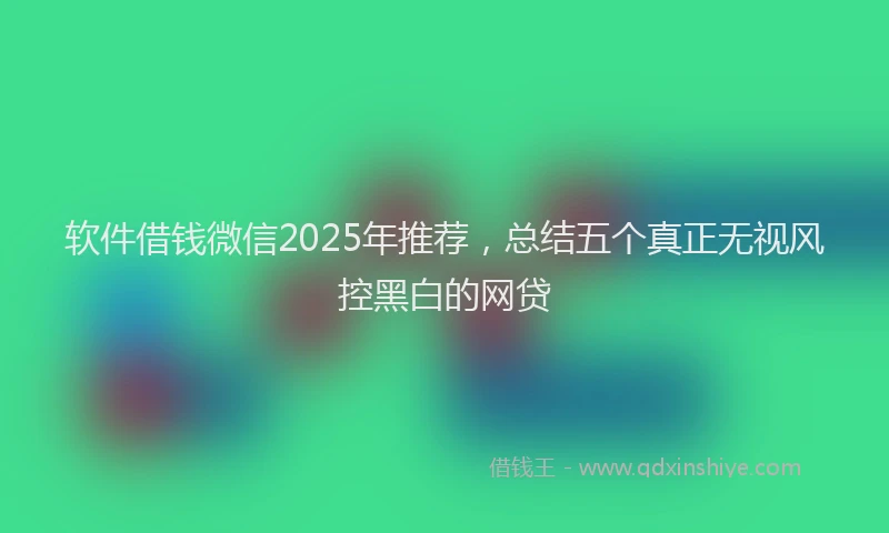 软件借钱微信2025年推荐，总结五个真正无视风控黑白的网贷