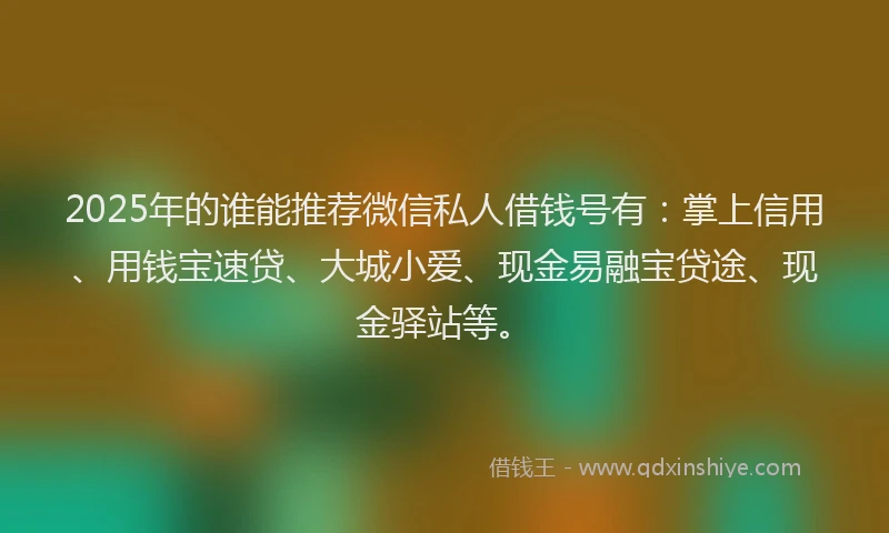 2025年的谁能推荐微信私人借钱号有：掌上信用、用钱宝速贷、大城小爱、现金易融宝贷途、现金驿站等。