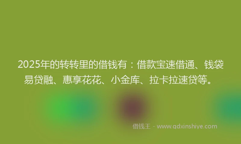 2025年的转转里的借钱有：借款宝速借通、钱袋易贷融、惠享花花、小金库、拉卡拉速贷等。