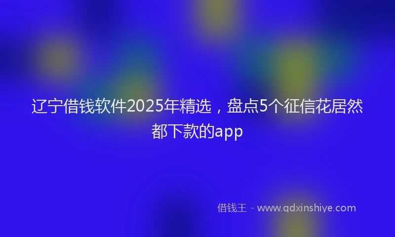 辽宁借钱软件2025年精选，盘点5个征信花居然都下款的app