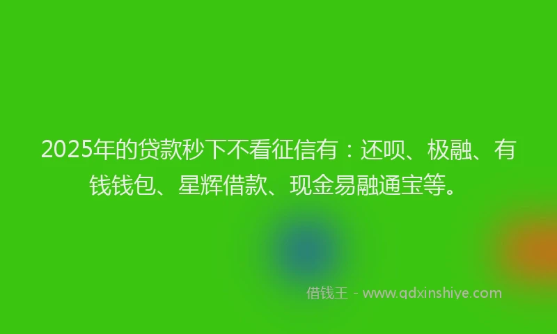 2025年的贷款秒下不看征信有：还呗、极融、有钱钱包、星辉借款、现金易融通宝等。