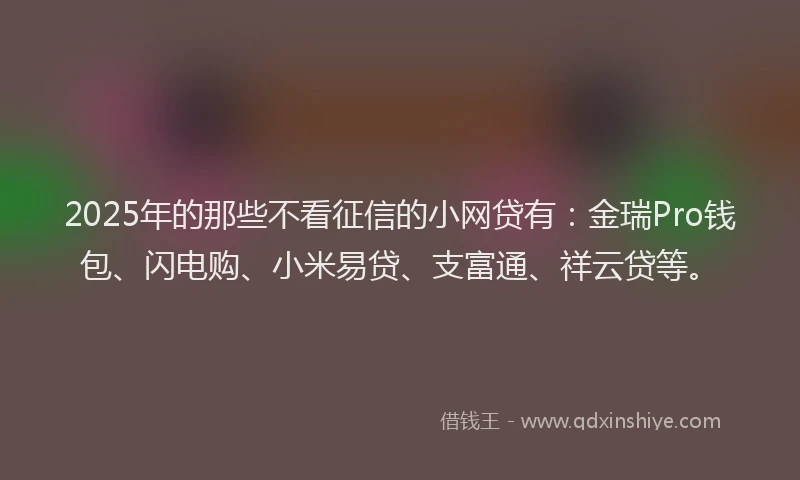 2025年的那些不看征信的小网贷有：金瑞Pro钱包、闪电购、小米易贷、支富通、祥云贷等。