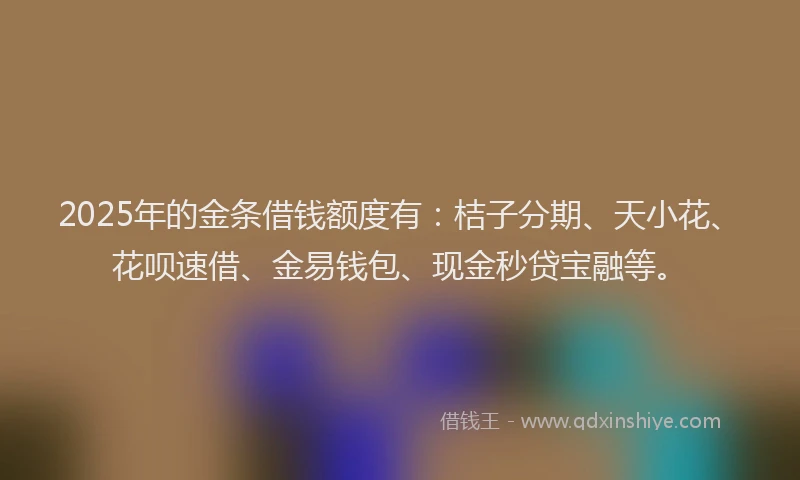 2025年的金条借钱额度有：桔子分期、天小花、花呗速借、金易钱包、现金秒贷宝融等。