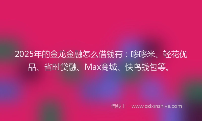 2025年的金龙金融怎么借钱有：哆哆米、轻花优品、省时贷融、Max商城、快鸟钱包等。