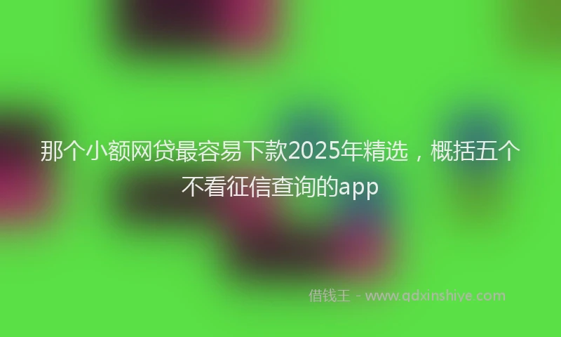 那个小额网贷最容易下款2025年精选，概括五个不看征信查询的app