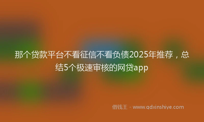 那个贷款平台不看征信不看负债2025年推荐，总结5个极速审核的网贷app