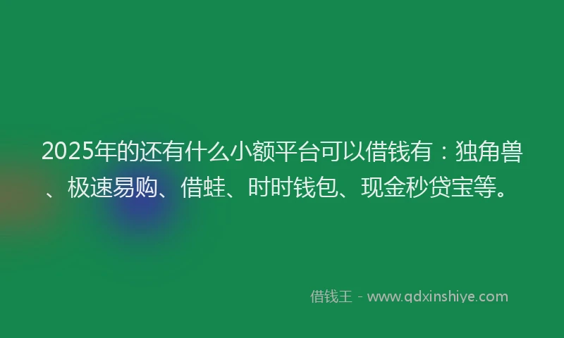 2025年的还有什么小额平台可以借钱有：独角兽、极速易购、借蛙、时时钱包、现金秒贷宝等。