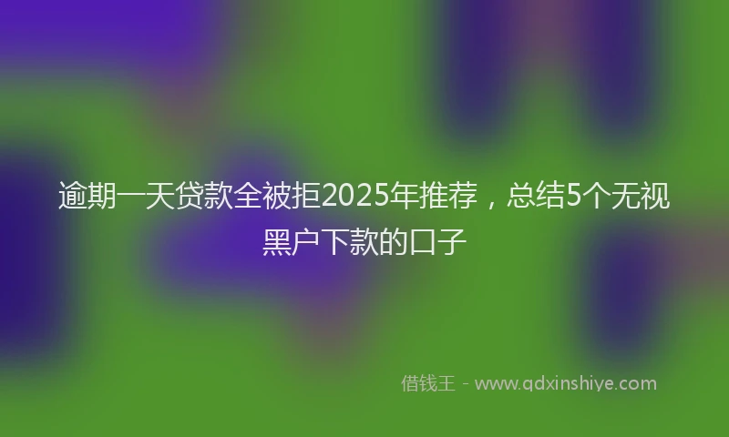 逾期一天贷款全被拒2025年推荐，总结5个无视黑户下款的口子