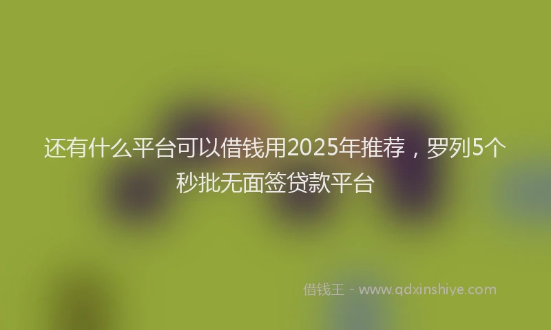 还有什么平台可以借钱用2025年推荐，罗列5个秒批无面签贷款平台