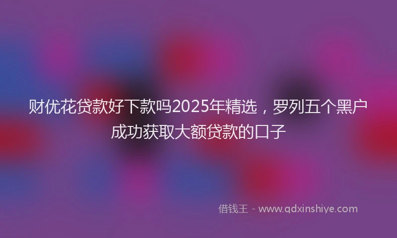 财优花贷款好下款吗2025年精选，罗列五个黑户成功获取大额贷款的口子
