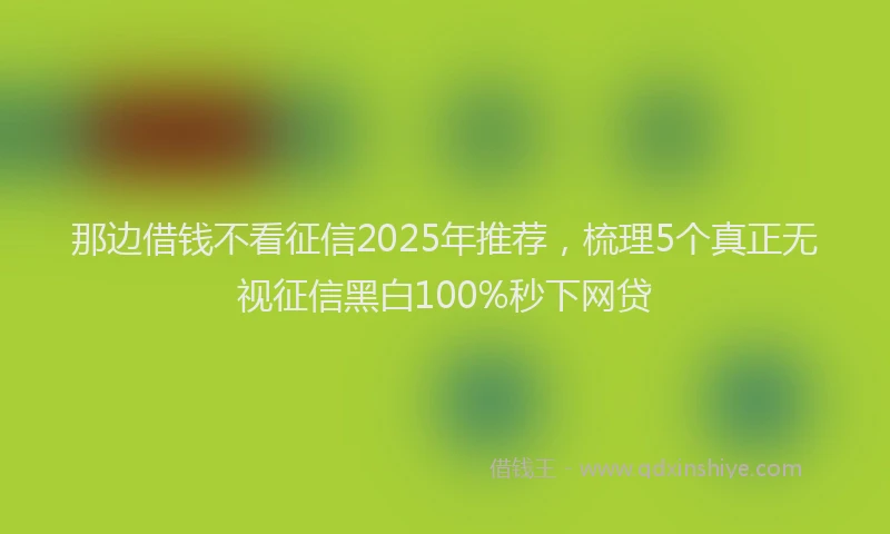 那边借钱不看征信2025年推荐，梳理5个真正无视征信黑白100%秒下网贷
