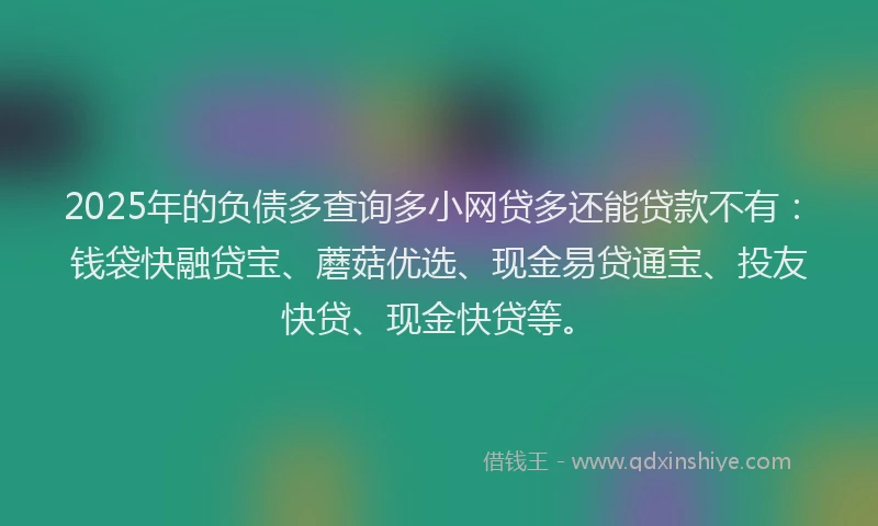 2025年的负债多查询多小网贷多还能贷款不有：钱袋快融贷宝、蘑菇优选、现金易贷通宝、投友快贷、现金快贷等。
