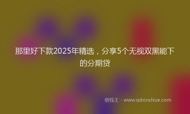 那里好下款2025年精选，分享5个无视双黑能下的分期贷