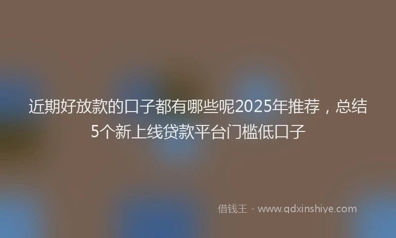 近期好放款的口子都有哪些呢2025年推荐，总结5个新上线贷款平台门槛低口子