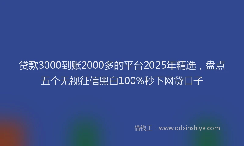 贷款3000到账2000多的平台2025年精选，盘点五个无视征信黑白100%秒下网贷口子
