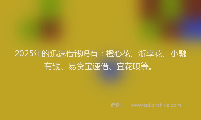 2025年的迅速借钱吗有：橙心花、浙享花、小融有钱、易贷宝速借、宜花呗等。
