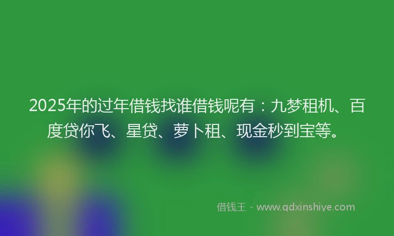 2025年的过年借钱找谁借钱呢有：九梦租机、百度贷你飞、星贷、萝卜租、现金秒到宝等。