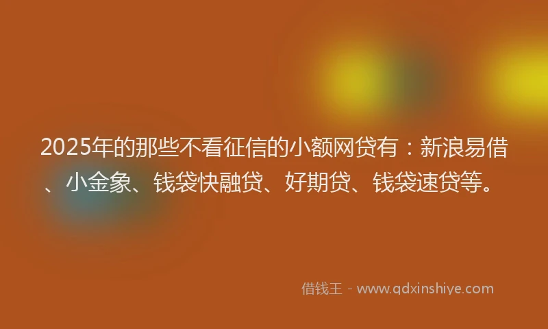 2025年的那些不看征信的小额网贷有：新浪易借、小金象、钱袋快融贷、好期贷、钱袋速贷等。