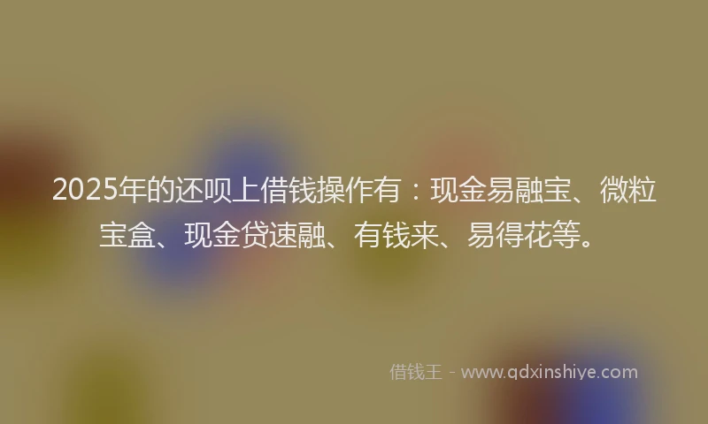 2025年的还呗上借钱操作有：现金易融宝、微粒宝盒、现金贷速融、有钱来、易得花等。